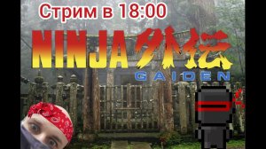 Ninja Gaiden nes-уверен не в последний раз ;)