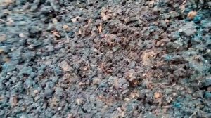 ПАН30. Применение Сапропеля для производства Эффективного удобрения биогумус. Вермикомпост.