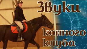 Как звучит конный клуб? Проект "Звуки"