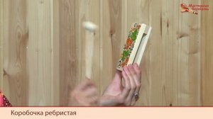 Коробочка ребристая