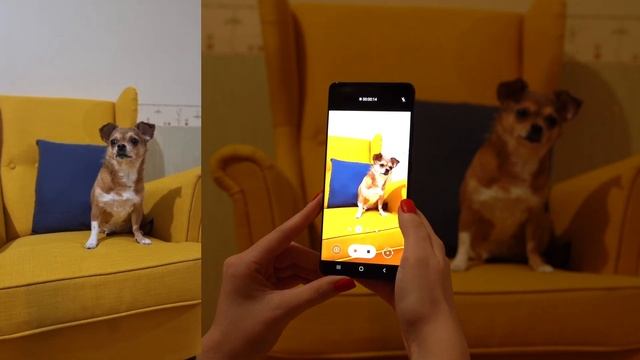 Samsung Galaxy S21 Ultra Обзор и отзыв от НОУ-ХАУ. смотреть онлайн