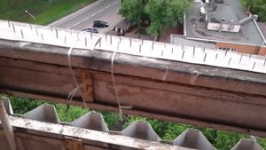 Как избавиться от голубей с помощью гвоздей