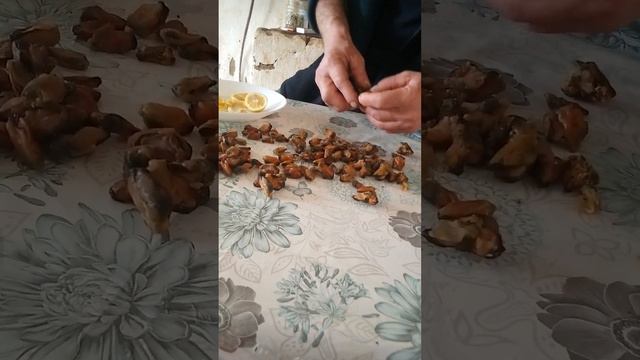 Правда о мидиях не советую их есть! а вы их ели? смотреть онлайн