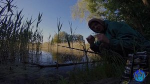 Рыбалка. Ловля карася на Болоте, Как поймать Золотого Карася