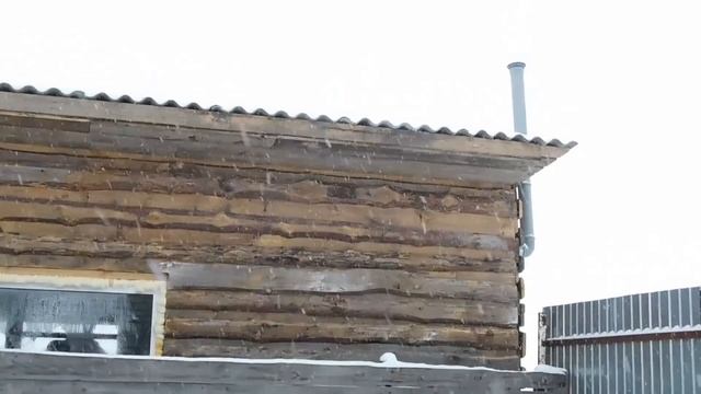 БЮДЖЕТНЫЙ ДОЩАТЫЙ САРАЙ ДЛЯ КОРОВ И ТЕЛОЧЕК//РАЗМЕР,СТОИЛА,ПРИВЯЗЬ,КОРМЛЕНИЕ,ПОЕНИЕ//СГУЩЕНКА И САЛ