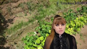 Обязательно нужно знать, как правильно сажать КАРТОФЕЛЬ!!!