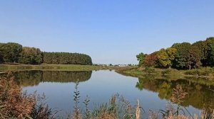 Озеро у деревни Вишневец Столбцовского района Минской области. Lake near the village of Vishnevets.