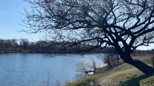 Милый сердцу уголок