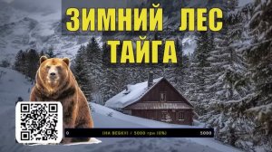 ИСТОРИИ из ЖИЗНИ ЛЕСНИКА НА НОЧЬ СУДЬБА ЖИЗНЬ МЕДВЕДИ ВОЛКИ в ЛЕСУ СЕРИАЛ ВСЕ СЕРИИ