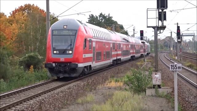 Elektrolok + Baureihe 146 010-4 + Schloss Wackerbarth + S-Bahn Dresden + S1 Meissen-Triebischtal смотреть онлайн