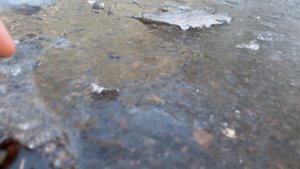 Ice cracking #shorts