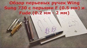 Обзор перьевых ручек Wing Sung 730 с перьями F (0.5 мм) и Fude (0.2 - 2 мм). Китай, 1980-90 гг.