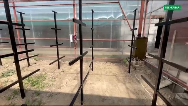 Видеону сѳзсүз кѳр! Заманбап КҮНѲСКАНА жасайм ~ сапаттуу, жылуу. ГАРАНТИЯ бар смотреть онлайн