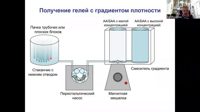 Аналитическая и препаративная биохимия: Электрофорез и изоэлектрофокусирование,11.11.2021,И.Н.Зоров