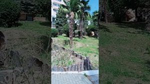 территория Санатория Искра