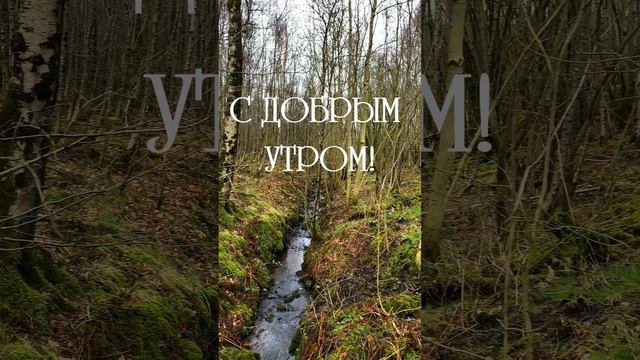 Короткий видеоролик с добрым утром | SunPikRu смотреть онлайн