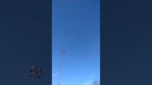 Голуби Тамбовской области первомайского района