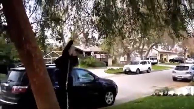 narcissa - to protect her children (a fan fic) смотреть онлайн