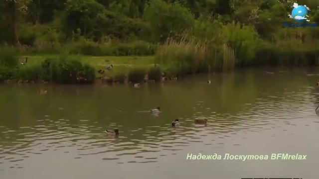 Прямая Трансляция, Канал "Путешествия" OnLine смотреть онлайн