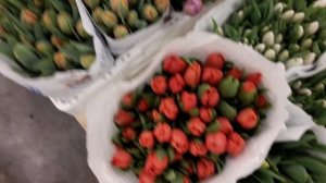 Фуд Сити.Салон цветов Фантазия.Очень мало орхидей?но много красивой срезки для составления букетов