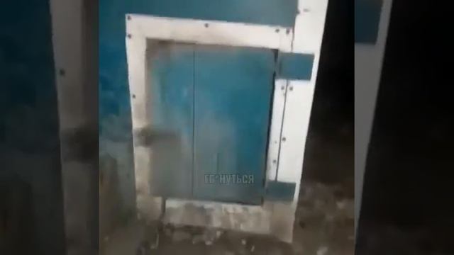 Такса в будке смотреть онлайн