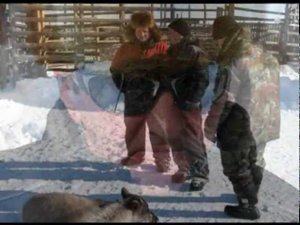 Коральные работы. Ловозеро