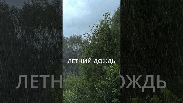 Летний Дождь 🌧️ #надаче