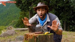 УЖАЛИЛ ШЕРШЕНЬ (Гигантский японский шершень укусил человек (1 часть) [Видео не мое но мне нравиться