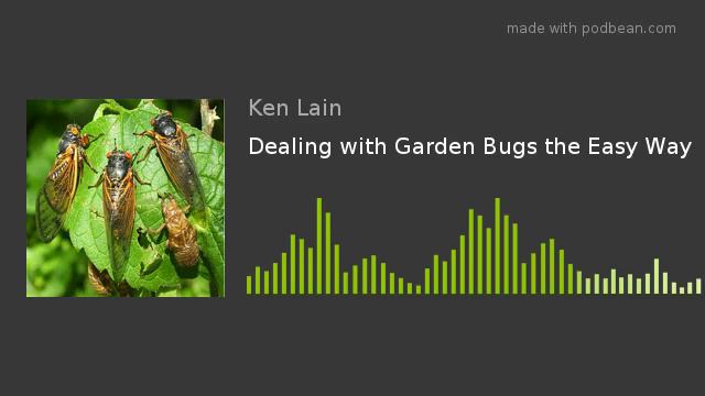Dealing with Garden Bugs the Easy Way смотреть онлайн