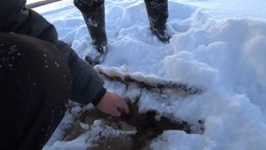 Зимняя рыбалка в Кемском районе северной Карелии.