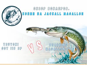 Копии на Jackall Magallon. TsuYoki vs BearKing. Обзор воблеров от Петровича.