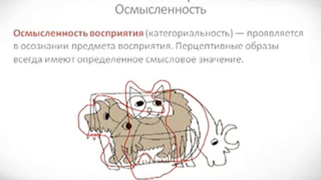 Психология урок 20 Свойства восприятия