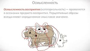 Психология урок 20 Свойства восприятия