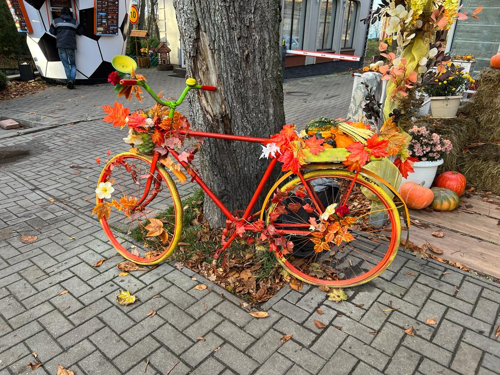 Светлогорск. Прекрасное туристическое место. Ноябрь 2022 года. Калининградская область. смотреть онлайн