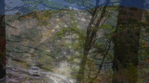 Beautiful Autumn in Nikko