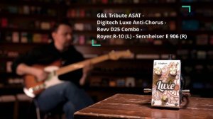 Digitech Luxe Anti-Chorus - DMTR Pedal Shop #быстрообзор