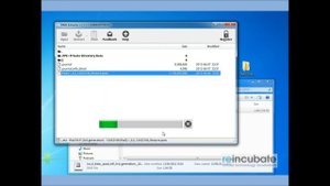 How to extract IPSW files from an iOS beta DMG on Windows