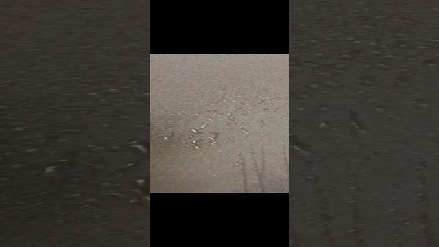 2023-02-17 смотреть онлайн