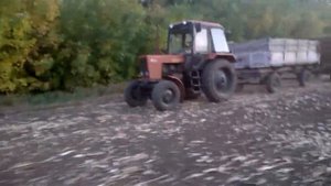 Настраиваем Комбайн. Уборка подсолнух  2019.