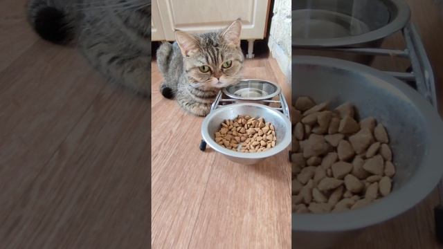 Жалобы на кожаных ??? смотреть онлайн