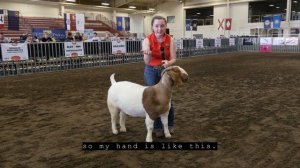 The ABGA Presents: How To Show Your Goat with Hannah Kidder