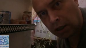 А я не понял что вы делаете в моем холодильнике вы что хотите кушать?