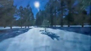 В лунном сиянии снег серебрится