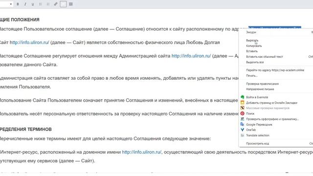 АВТОВОРОНКА. Редактируем страницы политика конфиденциальности и пользовательское соглашение смотреть онлайн