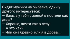 Как Кум с Кумой На Одной Кровати Спали! Сборник Свежих Анекдотов! Юмор!