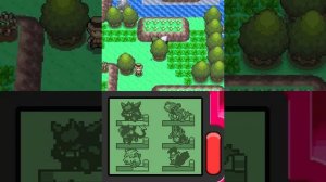 Pokémon Perl - Folge 066: Die Route hinter der Siegesstraße