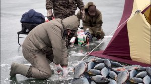 Зимняя рыбалка 2023. Маныч. Попали на клёв.