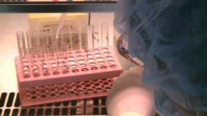 Московский лабораторный комплекс по контролю качества лекарственных средств