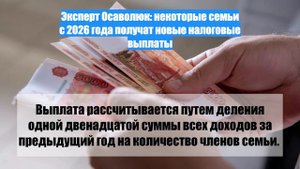 Эксперт Осаволюк: некоторые семьи с 2026 года получат новые налоговые выплаты