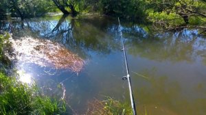 Утренняя рыбалка на поплавочную удочку в большую воду.